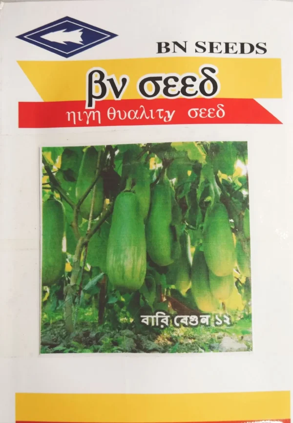 Bari 12 brinjal seeds – বারি বেগুন-১২ বীজ